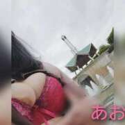 ヒメ日記 2025/10/19 15:08 投稿 あお 静岡駅前ちゃんこ