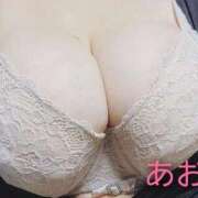 ヒメ日記 2025/10/24 19:48 投稿 あお 静岡駅前ちゃんこ