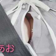 ヒメ日記 2025/10/25 11:48 投稿 あお 静岡駅前ちゃんこ