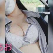 ヒメ日記 2025/10/25 16:18 投稿 あお 静岡駅前ちゃんこ