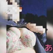 ヒメ日記 2025/10/29 06:08 投稿 あお 静岡駅前ちゃんこ