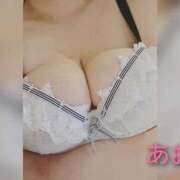 ヒメ日記 2025/11/08 10:48 投稿 あお 静岡駅前ちゃんこ