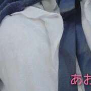 ヒメ日記 2025/11/15 14:08 投稿 あお 静岡駅前ちゃんこ