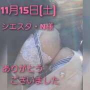 ヒメ日記 2025/11/15 23:28 投稿 あお 静岡駅前ちゃんこ