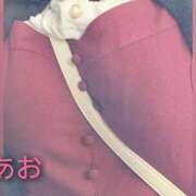 ヒメ日記 2025/11/16 11:48 投稿 あお 静岡駅前ちゃんこ