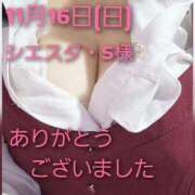 ヒメ日記 2025/11/16 17:08 投稿 あお 静岡駅前ちゃんこ