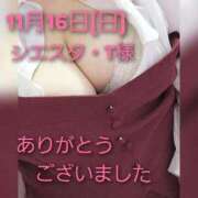 ヒメ日記 2025/11/16 17:38 投稿 あお 静岡駅前ちゃんこ