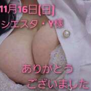 ヒメ日記 2025/11/16 23:08 投稿 あお 静岡駅前ちゃんこ