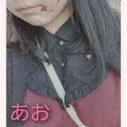 ヒメ日記 2025/11/17 11:38 投稿 あお 静岡駅前ちゃんこ