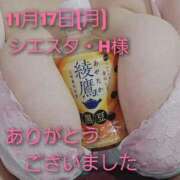 ヒメ日記 2025/11/17 19:10 投稿 あお 静岡駅前ちゃんこ