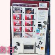 ヒメ日記 2025/11/17 20:08 投稿 あお 静岡駅前ちゃんこ