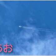 ヒメ日記 2025/11/19 19:48 投稿 あお 静岡駅前ちゃんこ