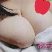 ヒメ日記 2025/11/20 21:38 投稿 あお 静岡駅前ちゃんこ