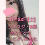 ヒメ日記 2025/11/22 18:18 投稿 あお 静岡駅前ちゃんこ