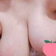 ヒメ日記 2025/11/23 13:08 投稿 あお 静岡駅前ちゃんこ