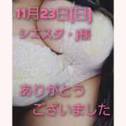 ヒメ日記 2025/11/23 16:48 投稿 あお 静岡駅前ちゃんこ