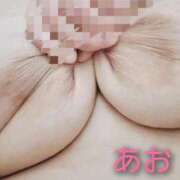 ヒメ日記 2025/11/23 20:51 投稿 あお 静岡駅前ちゃんこ