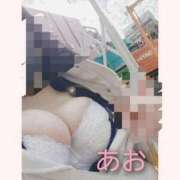 ヒメ日記 2025/11/24 11:08 投稿 あお 静岡駅前ちゃんこ