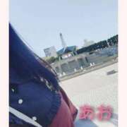 ヒメ日記 2025/11/24 13:06 投稿 あお 静岡駅前ちゃんこ