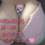 ヒメ日記 2025/11/25 13:51 投稿 あお 静岡駅前ちゃんこ