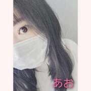 ヒメ日記 2025/12/01 13:08 投稿 あお 静岡駅前ちゃんこ