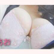 ヒメ日記 2025/12/02 00:33 投稿 あお 静岡駅前ちゃんこ