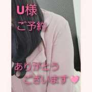 ヒメ日記 2025/12/03 13:48 投稿 あお 静岡駅前ちゃんこ
