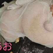 ヒメ日記 2025/12/05 08:58 投稿 あお 静岡駅前ちゃんこ