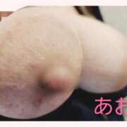 ヒメ日記 2025/12/06 17:48 投稿 あお 静岡駅前ちゃんこ