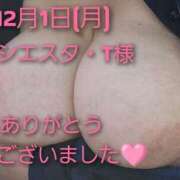 ヒメ日記 2025/12/06 21:58 投稿 あお 静岡駅前ちゃんこ