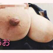 ヒメ日記 2025/12/07 00:38 投稿 あお 静岡駅前ちゃんこ