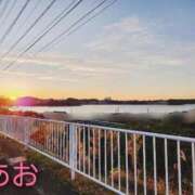 ヒメ日記 2025/12/15 08:48 投稿 あお 静岡駅前ちゃんこ