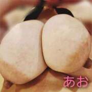 ヒメ日記 2025/12/16 07:08 投稿 あお 静岡駅前ちゃんこ