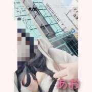 ヒメ日記 2025/12/20 16:18 投稿 あお 静岡駅前ちゃんこ