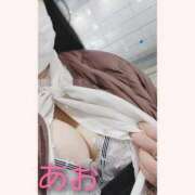 ヒメ日記 2025/12/22 09:18 投稿 あお 静岡駅前ちゃんこ