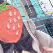 ヒメ日記 2025/12/26 16:58 投稿 あお 静岡駅前ちゃんこ