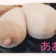 ヒメ日記 2025/12/31 18:18 投稿 あお 静岡駅前ちゃんこ