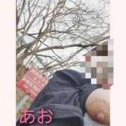 ヒメ日記 2026/01/08 12:53 投稿 あお 静岡駅前ちゃんこ