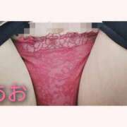 ヒメ日記 2026/01/24 01:48 投稿 あお 静岡駅前ちゃんこ