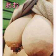 ヒメ日記 2026/01/28 23:48 投稿 あお 静岡駅前ちゃんこ