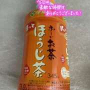 ヒメ日記 2025/12/14 13:24 投稿 りこ One More奥様　横浜関内店