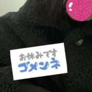 ヒメ日記 2026/01/11 07:16 投稿 りこ One More奥様　横浜関内店