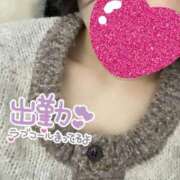 ヒメ日記 2026/02/07 09:01 投稿 りこ One More奥様　横浜関内店