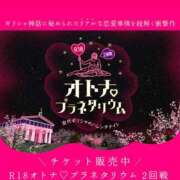 ヒメ日記 2026/02/21 09:00 投稿 れん 新宿カルテ