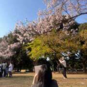 ヒメ日記 2026/03/24 18:45 投稿 れん 新宿カルテ