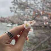 ヒメ日記 2026/04/01 13:25 投稿 れん 新宿カルテ