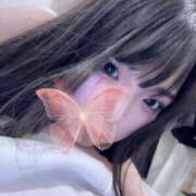 ヒメ日記 2026/04/06 03:23 投稿 れん 新宿カルテ