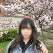 ヒメ日記 2026/04/10 07:03 投稿 れん 新宿カルテ