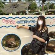 ヒメ日記 2025/10/15 16:31 投稿 ののか「一期一会…いちごいちえ」 GOOD-グッド-