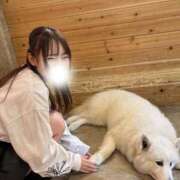 ヒメ日記 2026/03/20 14:01 投稿 ののか「一期一会…いちごいちえ」 GOOD-グッド-